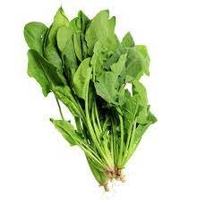 Leaves - Spinach