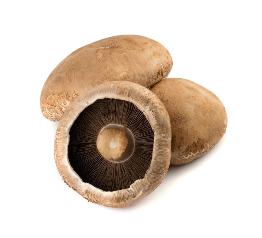 Mushroom - Portabella