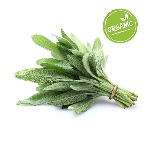Herbs Imported - Sage