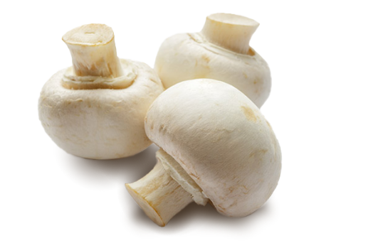 Mushroom - Button